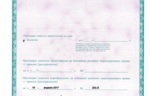 144597_85383.jpg