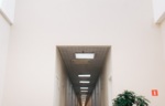 149799_115164.jpg