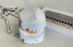 288ff8d8-559f-4c5d-9229-daf4ebfb2894.png
