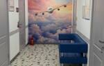 c08dd67a-6da8-47fb-b070-374cd8dadd32.jpg c08dd67a-6da8-47fb-b070-374cd8dadd32.jpg