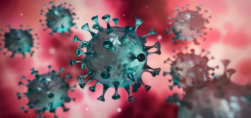 Экспресс исследование на антитела к новому коронавирусу SARS-CoV-2