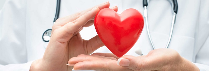 Акция! Консультация кардиолога + ЭКГ сердца